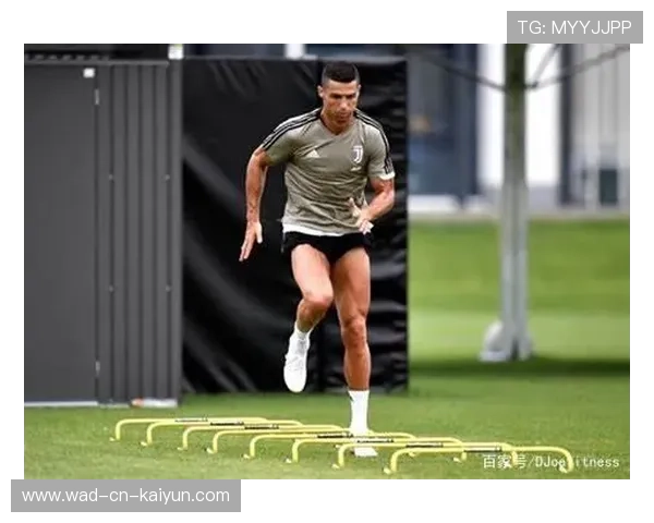 冠军球队训练中引入新体能训练法成效初显